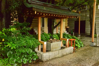 DSC_3203 (Large).JPG